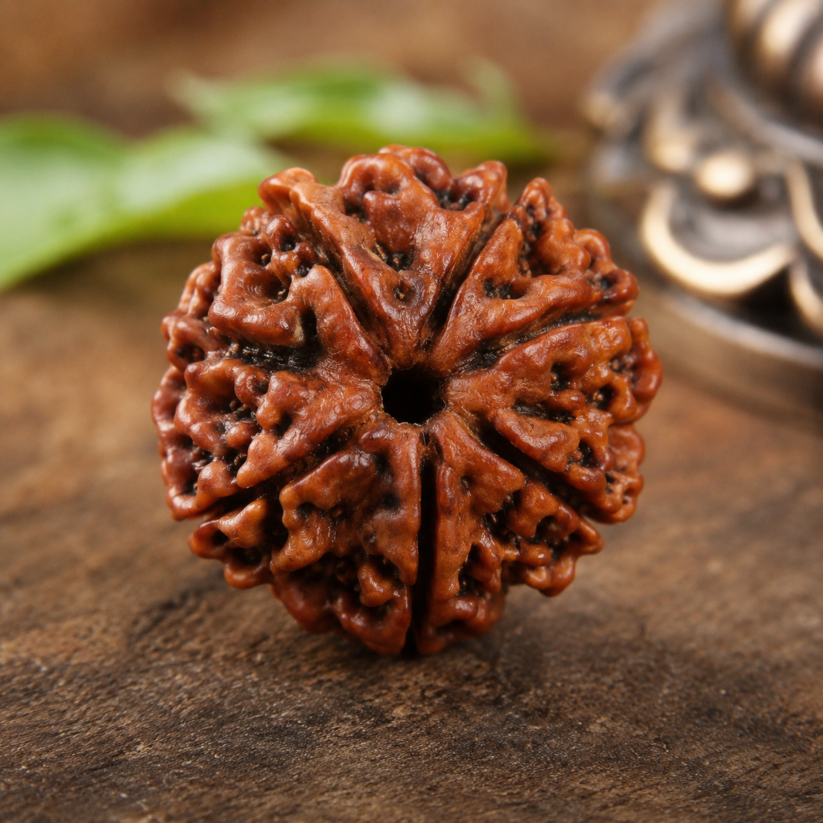 PALMA: 100% original  5 Mukhi Rudraksha – Spiritual Pendant