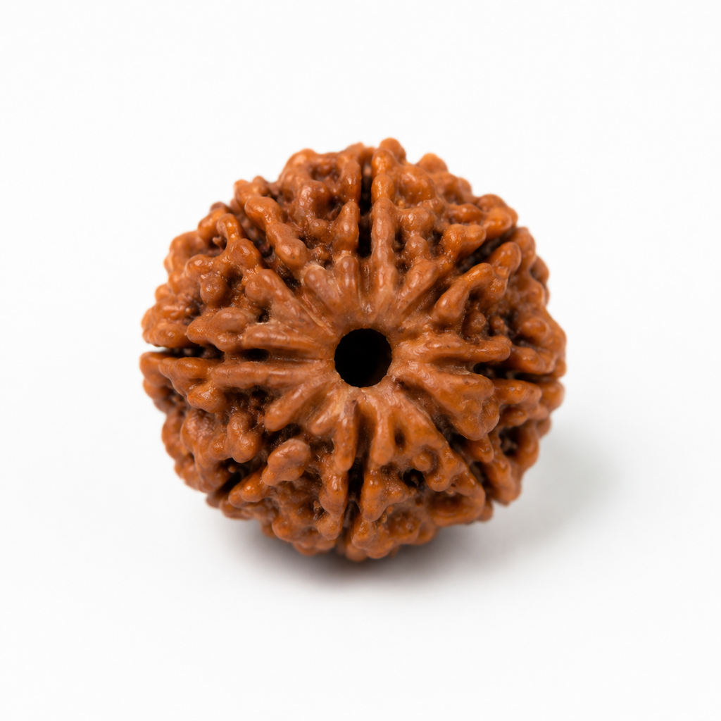 Original 5 Mukhi Rudraksha Bracelet | Natural Rudraksha with Premium Red Thread | PALMA