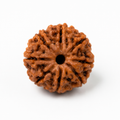 Original 5 Mukhi Rudraksha Bracelet | Natural Rudraksha with Premium Red Thread | PALMA