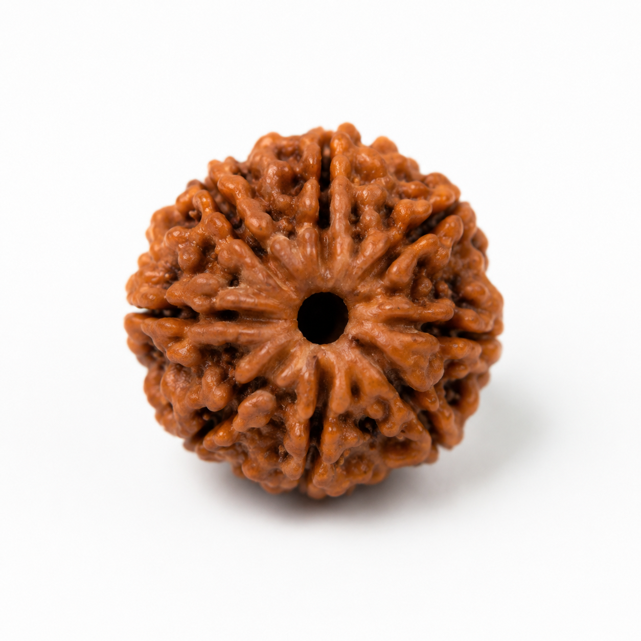 Original 5 Mukhi Rudraksha Bracelet | Natural Rudraksha with Premium Red Thread | PALMA